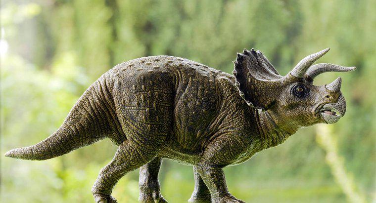 Triceratops Ne Yediniz?