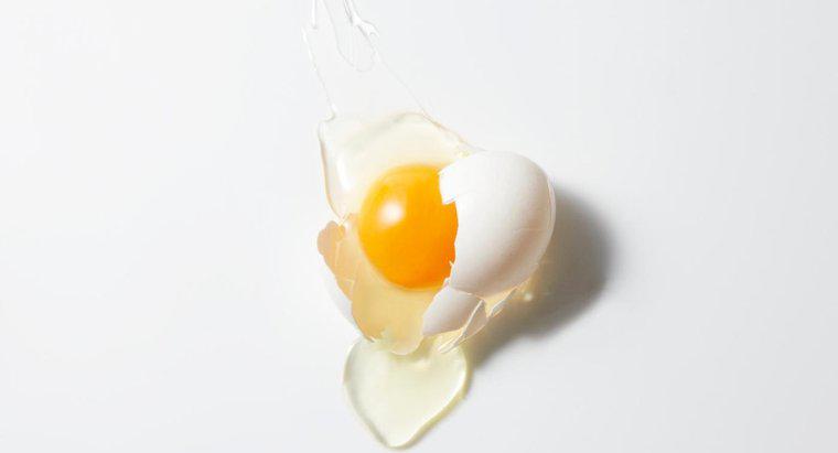 Yumurta Saç Tedavisi Olarak Kullanılabilir mi?