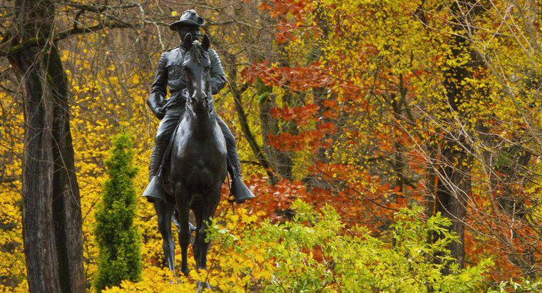 Theodore Roosevelt, Nobel Barış Ödülünü Neden Kazandı?