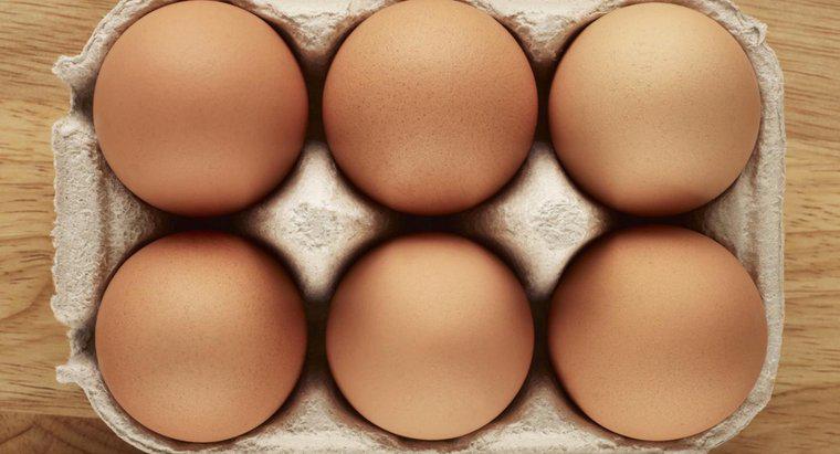Yumurtanın Parçaları Nedir?