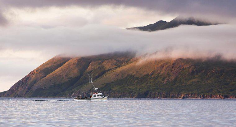 Alaska'nın Küçük Kuyruğunu Hangi Grup Küçük Adalar Oluyor?